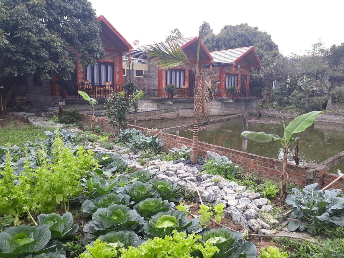 Chez Hiep Tam Coc Homestay نينه بينه المظهر الخارجي الصورة